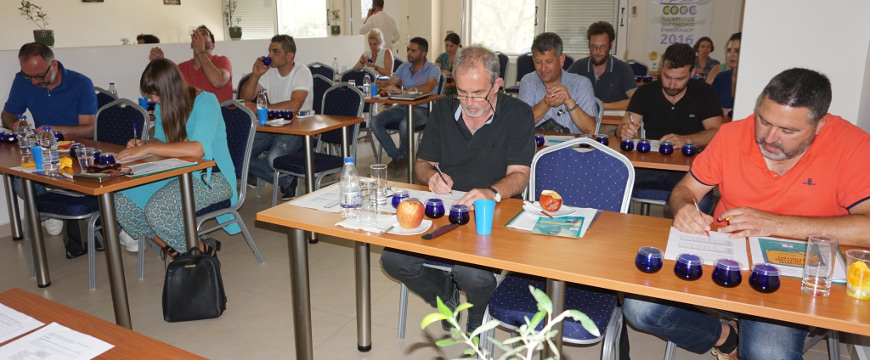 Participants at the olive oil tasting seminar in Rethymno seated at tables, tasting olive oil samples and making notes