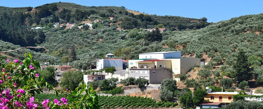 Anoskeli olive oil factory and winery buildings in a valley among olive trees and vineyards