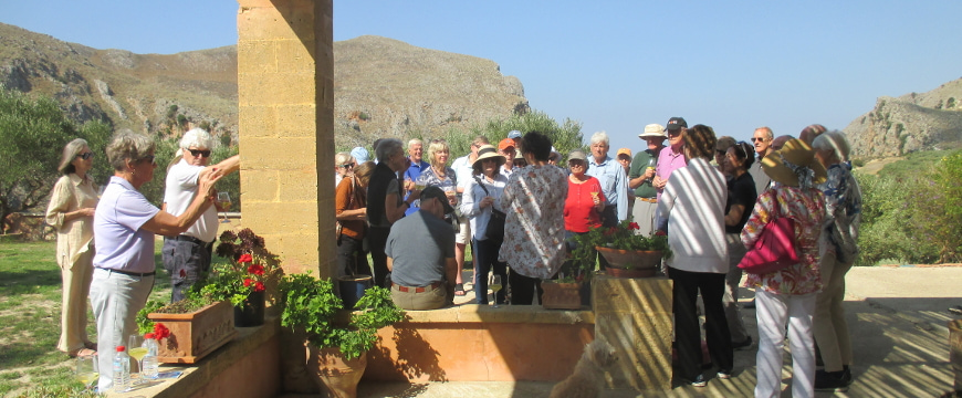 visitors listening to information about olive oil at Biolea, with olive groves and hills in the background