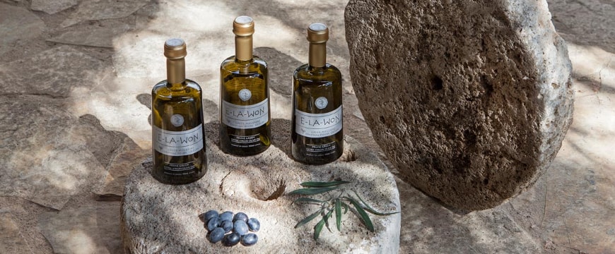 Elawon olive oil bottles by a big old millstone, with some olives