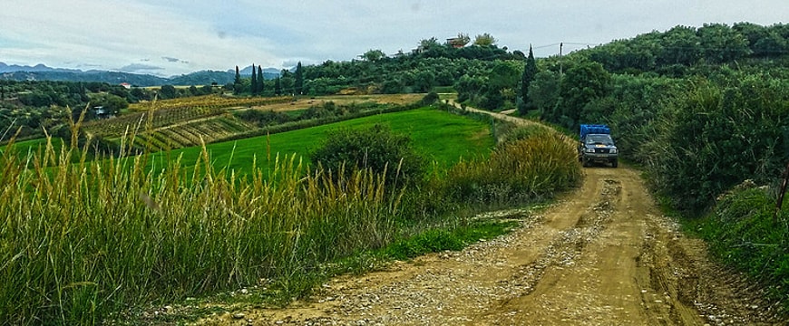 Countryside with dirt road and PJ Kabos olive groves