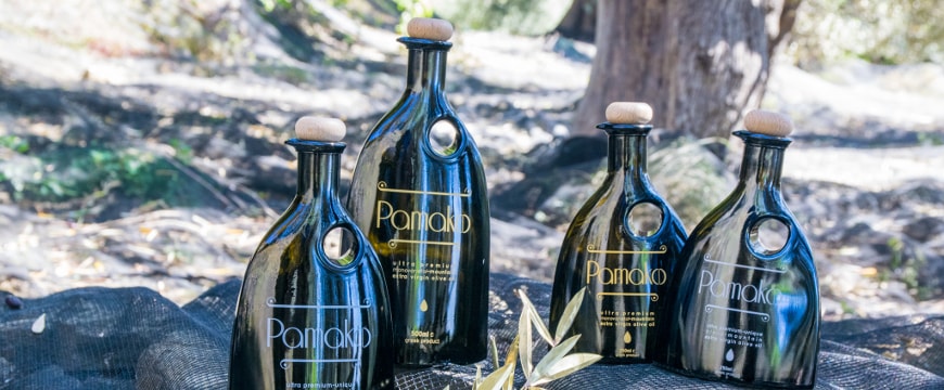 Four Pamako olive oil bottles in a forest