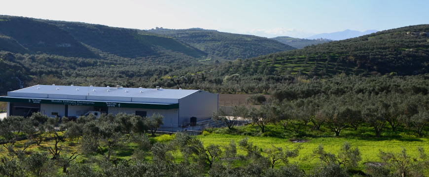 Terra Creta's mill in its natural landscape, surrounded by olive groves, hills, and sky