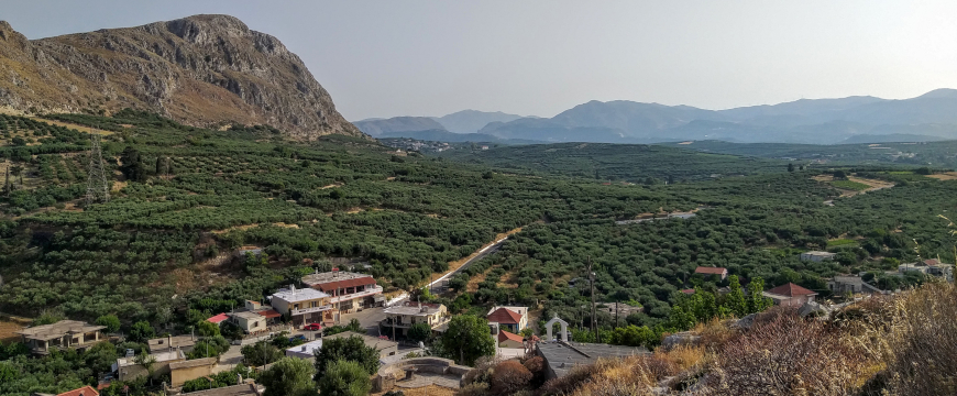 olive groves and cliffs viewed from the ancient site of Rokka, Crete