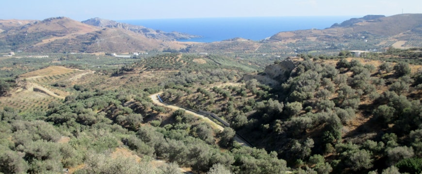 olive groves, hills, sea, sky in south central Crete
