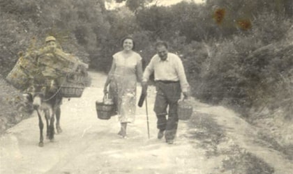 black and white photo of a boy hidden behind baskets on a donkey, with a woman and man walking near him