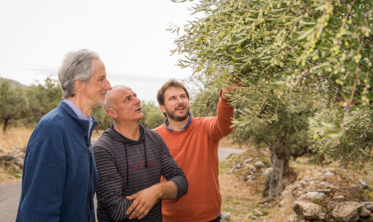 Fritz and Felix Blaeuel inspecting olive trees with a producer just before harvest