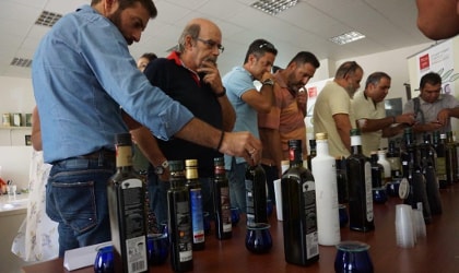 Seminar participants looking at bottles of olive oil