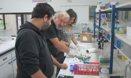 Dr. Saverio Pandolfi (center) in the lab with researchers at the Mediterranean Agronomic Institute of Chania
