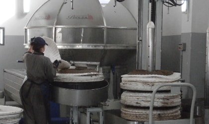 Chloe Dimitriadis preparing olive paste for pressing on a pile of white pressing filters, in front of Biolea's stone mill