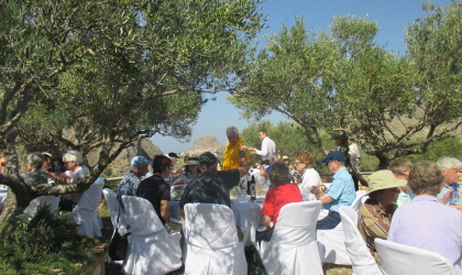 guests sitting at tables for a catered lunch beneath olive trees at Biolea