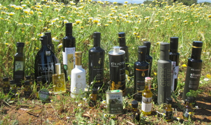 Bottles of Greek olive oil in front of wild daisies