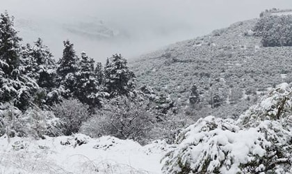 snowy trees and hills in Crete