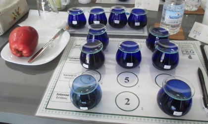 11 blue olive oil tasting glasses, an apple on a plate at the left, bottle of water back right