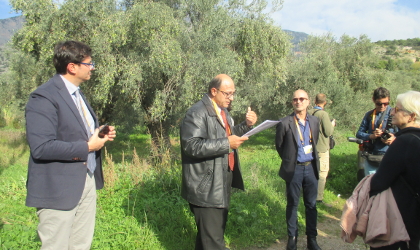 An agronomist talking to a group next to an olive grove near Delphi