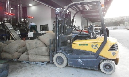forklift moving bags of olives into olive mill