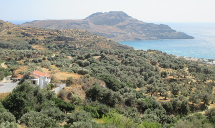 olive groves above Plakias, with hills, sea, and sky