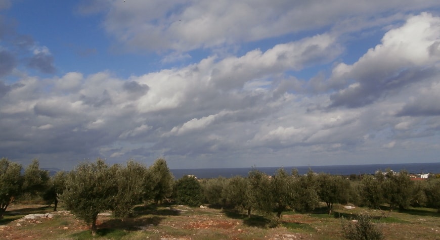 Dramatic white clouds in blue sky above olive groves in Crete