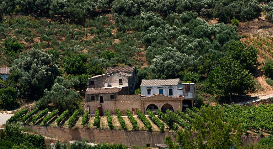 Anoskeli's vineyards and old buildings across the valley