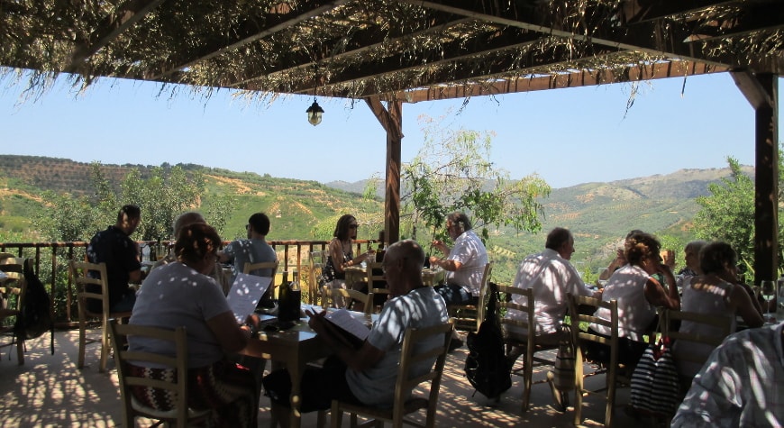 Diners eating at the Botanical Park Restaurant with hills and sky visible behind them