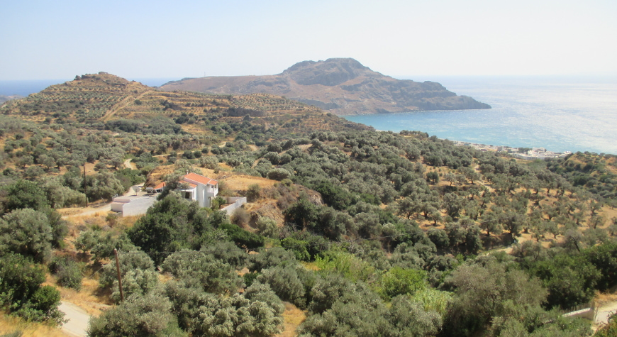 olive groves above Plakias, hills, sea, and sky