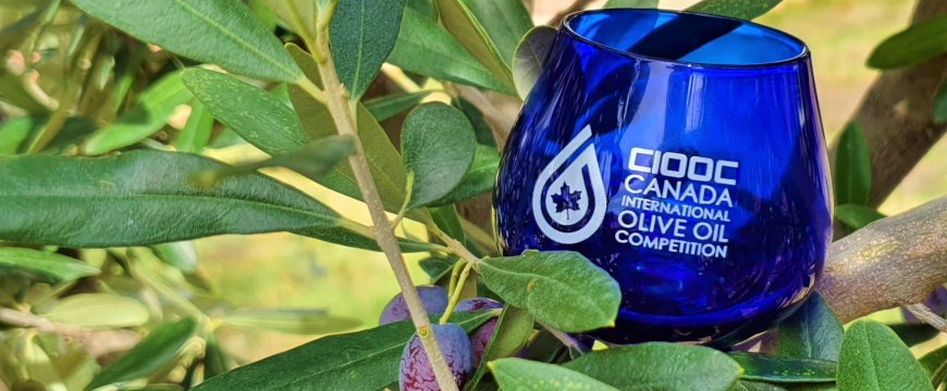 A blue olive oil tasting glass among olive branches; on the glass are the letters CIOOC and the words Canada International Olive Oil Competition in white, to the right of the competition logo