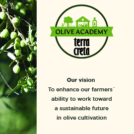 Terra Creta olive oil company's banner ad, showing an olive branch on the left, and on the right the words Olive Academy Terra Creta - Our vision - To enhance our farmers’ ability to work toward a sustainable future in olive cultivation