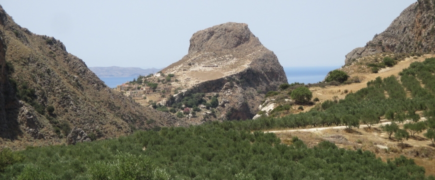 View from Biolea, looking over olive groves to hills, cliffs, sea, and sky
