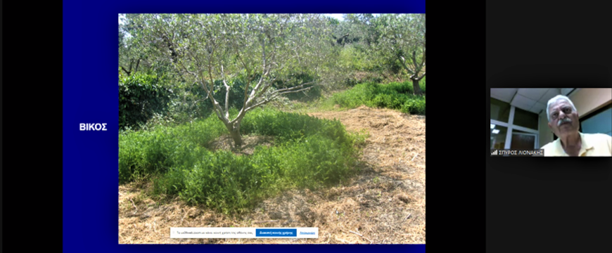 part of a screen shot with a small image of Dr. Spiros Lionakis on the right and a larger photo of plants in a ring around an olive tree on the left