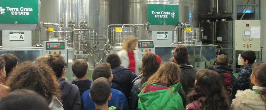 schoolchildren looking toward Terra Creta's large stainless steel olive tanks in the olive mill