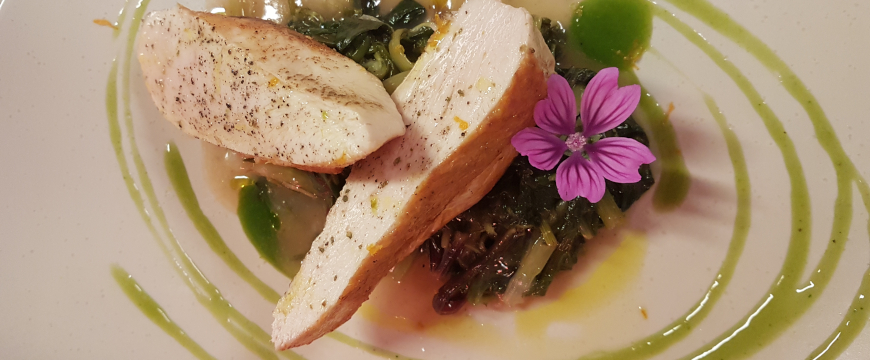 poultry slices with greens, sauce, and a flower artistically arranged on a plate