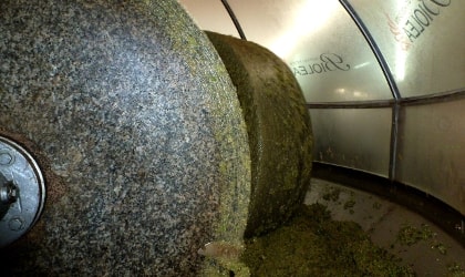 Biolea's granite millstones crushing olives into paste 
