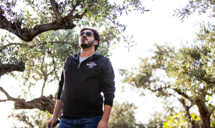 looking up at a man who is standing in an olive grove