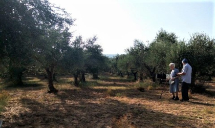 Maria and Ilias walking in their olive grove
