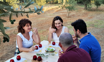 four people sitting at a table in an olive grove, tasting olive oil