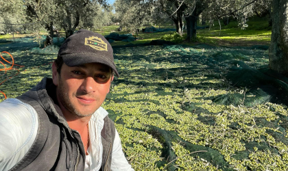 Diamantis Pierrakos with harvested olives behind him on nets in the olive grove