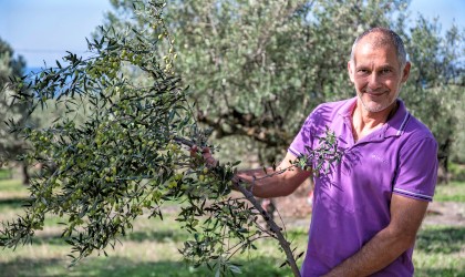Giovanni Bianchi holding a large olive branch full of olives
