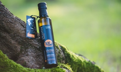 Bottle of Kyklopas olive oil resting on a tree root, with grass in the background
