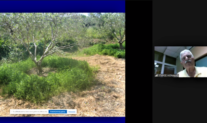 part of a screen shot with a small image of Dr. Spiros Lionakis on the right and a larger photo of plants in a ring around an olive tree on the left