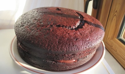 Two-layer fudge cake (without frosting)
