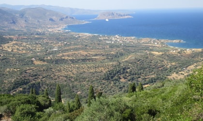 Olive trees in a valley, the sea, island of Monemvasia