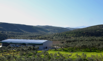 Terra Creta's olive mill, surrounded by olive groves, with hills and mountains in the background
