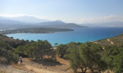 Olive trees, sea, and sky in eastern Crete
