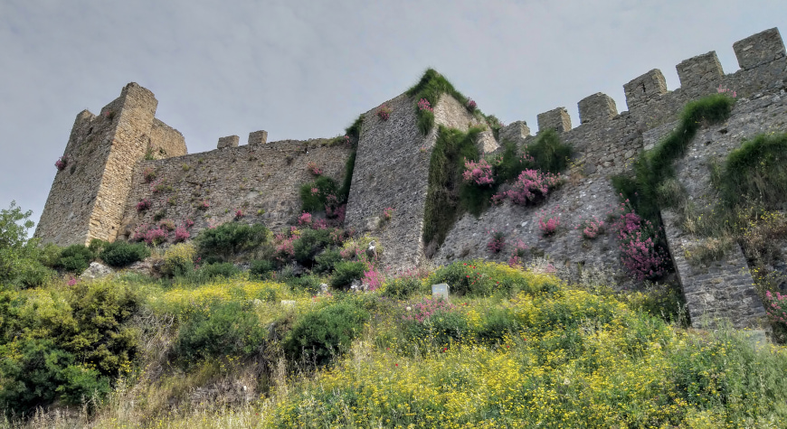 part of the Castle of Nafpaktos, viewed from outside, on a hill full of wildflowers