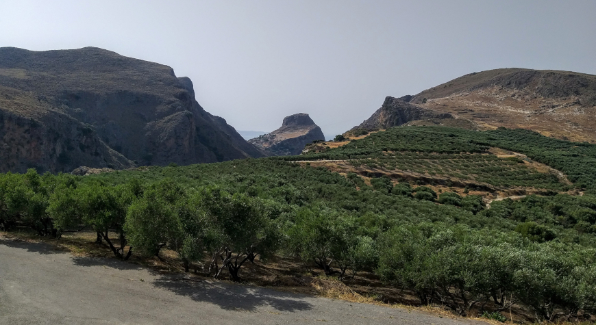 beyond Biolea’s olive groves, which extend toward two rocky hills, toward Trouli Hill