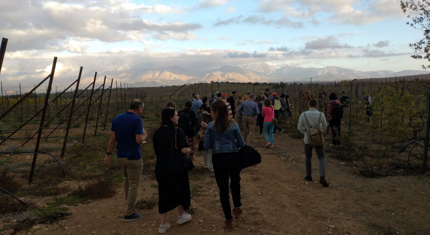people in a dark foreground walking in a vineyard, with mountains beneath a sky full of clouds with afterglow colors