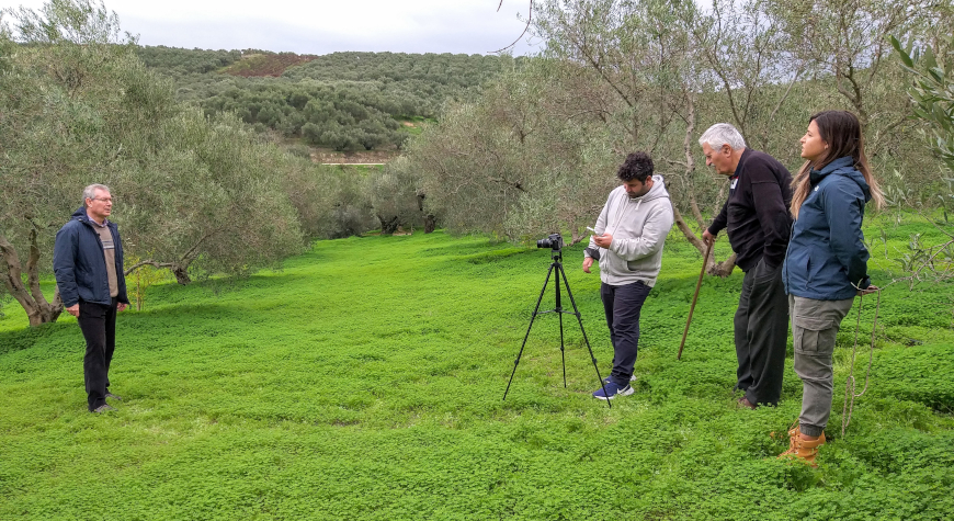 Four people filming a video in a hillside olive grove